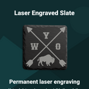 Wyoming Buffalo — Heart Mtn Laser — image 6