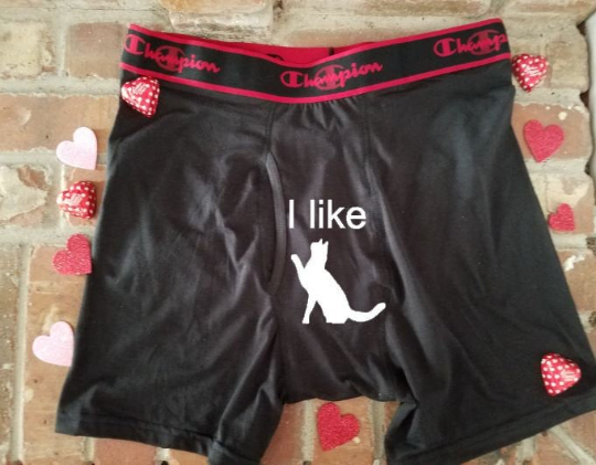 I Like Cats Mens Boxers Sucker Underwear - Funny Valentines Day Gift-The Dandelion Design Co